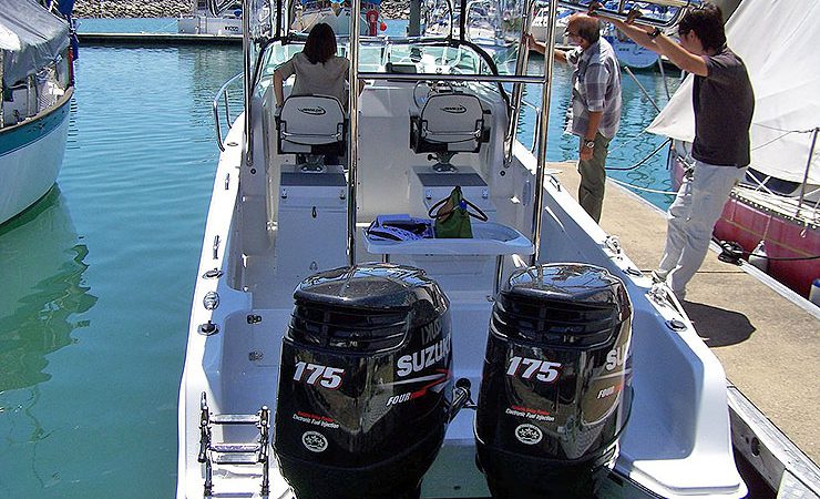 Dual engine option 